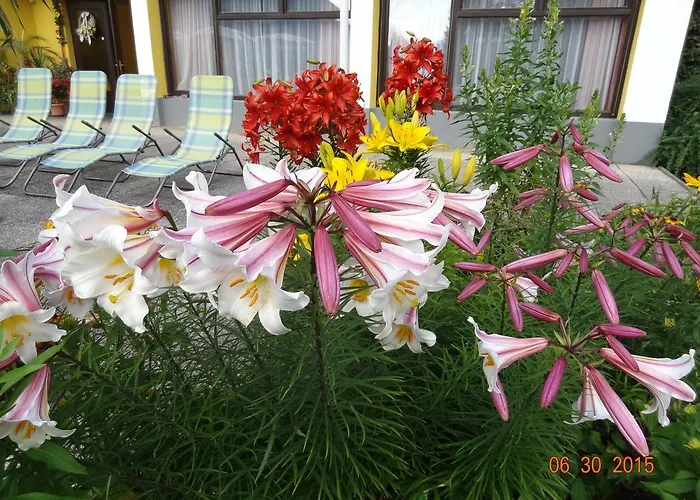 Broenimann Отель типа 